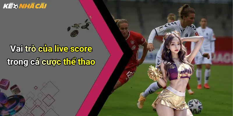 Vai trò của live score trong cá cược thể thao