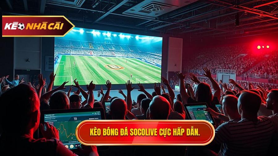 Kèo bóng đá Socolive là gì? Tại sao lại thu hút người chơi đến thế?