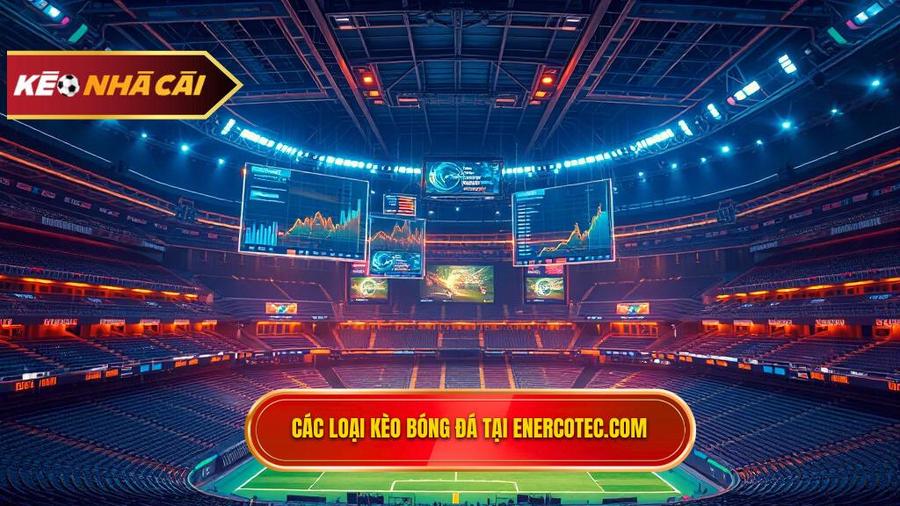 Các loại kèo phổ biến cần theo dõi tại enercotec.com
