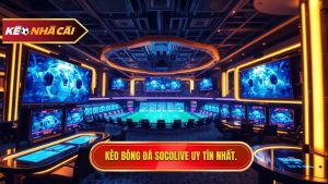 Kèo bóng đá Socolive – Hệ sinh thái soi kèo trực tuyến đỉnh cao cho bet thủ