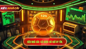 Cá cược kèo bù giờ cho người mới: Bí quyết thắng lớn từ chuyên gia