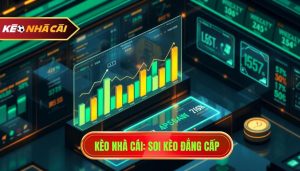 KÈO NHÀ CÁI_ Soi kèo đẳng cấp
